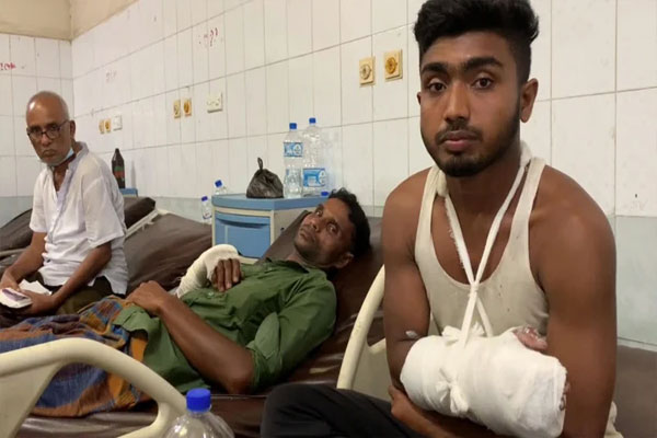 সিলেটে গরুর লাথি ও মাংস কাটতে গিয়ে ৭৬ জন আহত