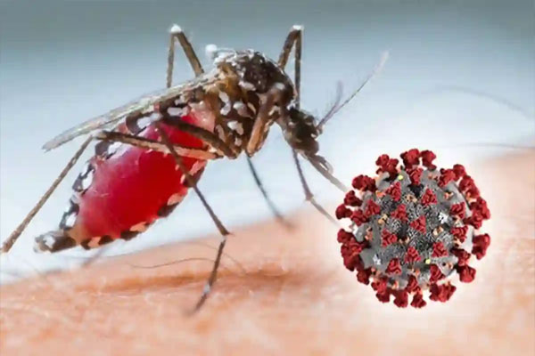 সিলেটে ডেঙ্গু-করোনায় আক্রান্তের সংখ্যা বাড়ছেই : আরো একজনের মৃত্যু