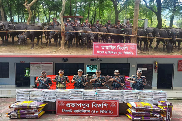 সিলেটে সীমান্তে সোয়া কোটি টাকার চোরাচালান জব্দ
