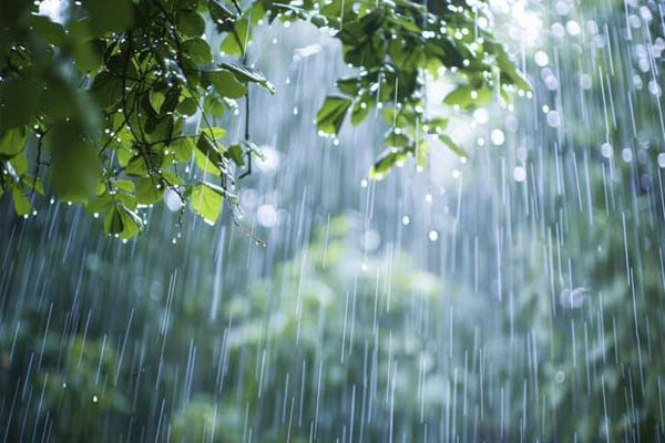 আগামী চার দিন ভারী বৃষ্টি হতে পারে