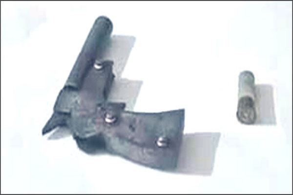 বনরক্ষীদের সঙ্গে গাছচোরদের গুলি বিনিময়, পিস্তল উদ্ধার