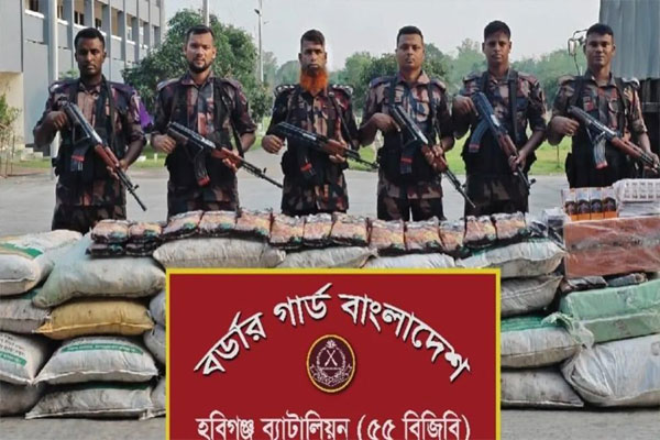 ২ কোটি টাকার ভারতীয় ঔষধ জব্দ করেছে বিজিবি