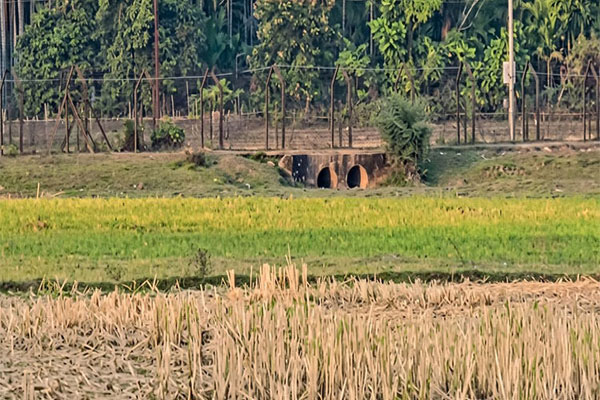 জকিগঞ্জ সীমান্তে উত্তেজনা, বিএসএফের গুলিতে যুবক নিহতের দাবি